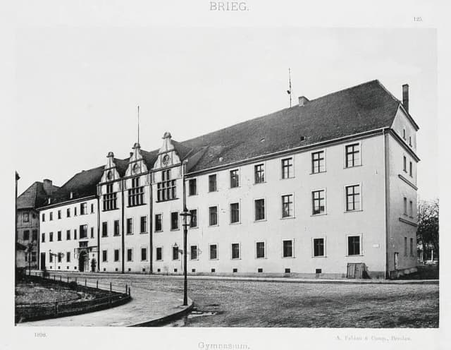 Kiedy powstało gimnazjum? Historia i zmiany w polskim systemie edukacji