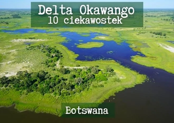 Kiedy najlepiej odwiedzić deltę Okawango? Przewodnik po idealnym czasie na podróż