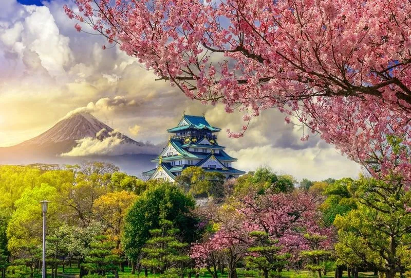 Kiedy unikać podróży do Japonii: Czas na mądre decyzje