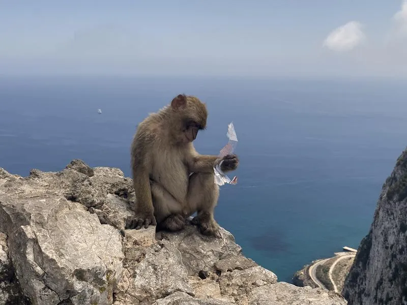 Atrakcje na Gibraltarze