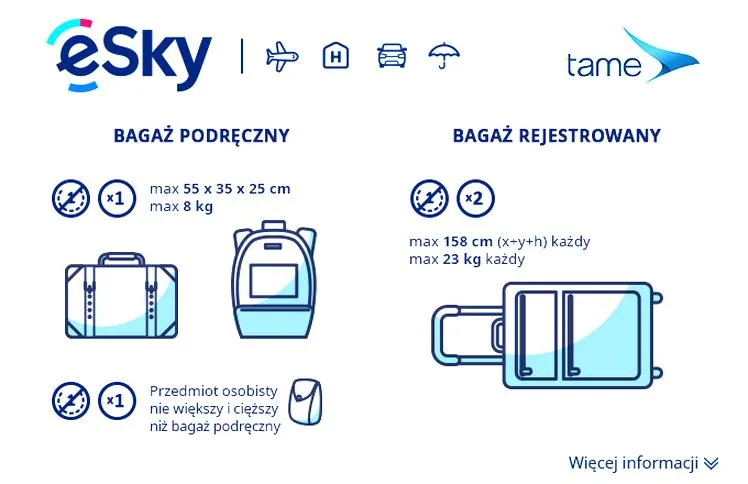 Bagaż podręczny SWISS