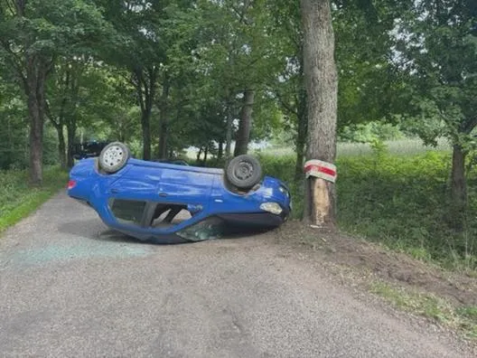 Czas trzeźwienia po alkoholu
