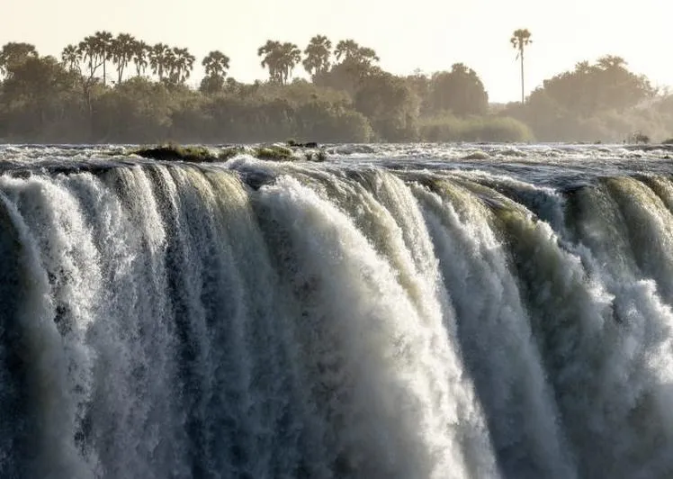 Delta Okawango