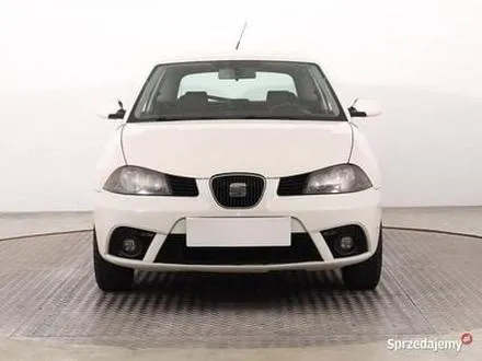 Ibiza jako kierunek