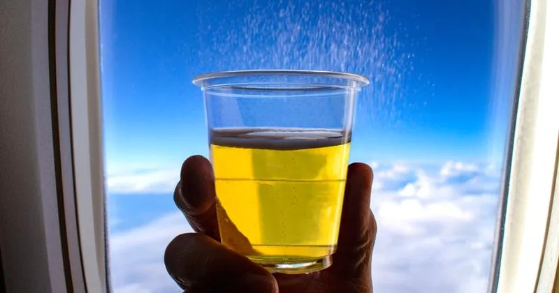 Limity alkoholu w bagażu