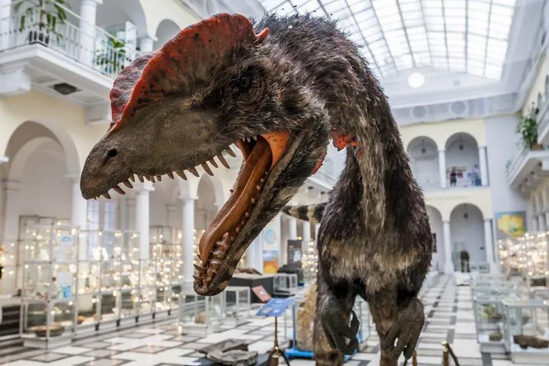 Muzea i wystawy dla dzieci