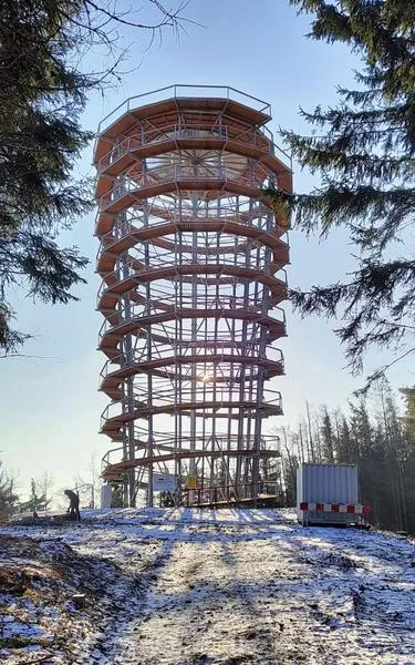 Przewodnik po Dzikowcu Wielkim