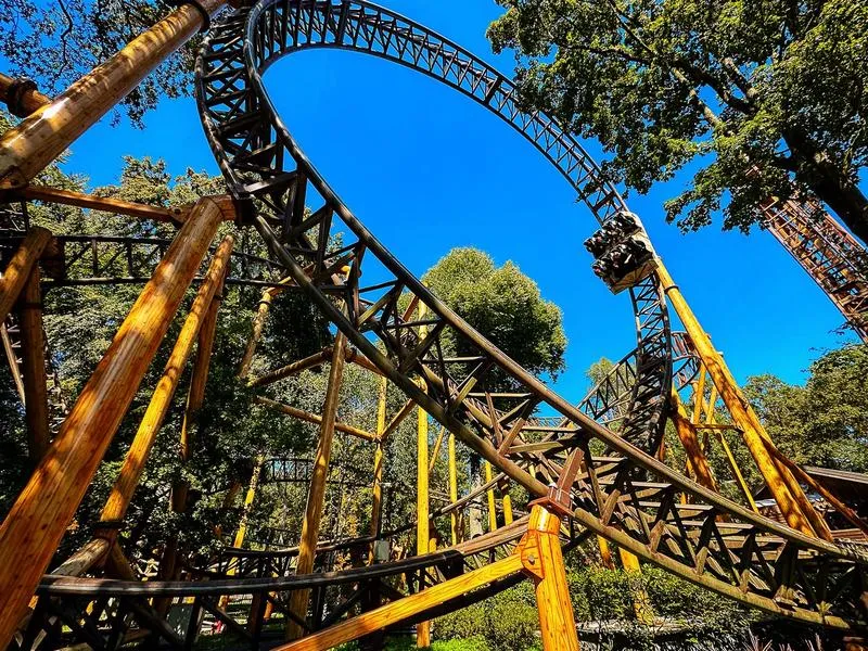 Przewodnik po wjeździe do Holandii