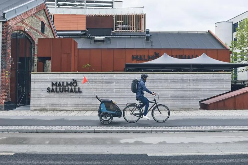 Przewóz psa na rowerze