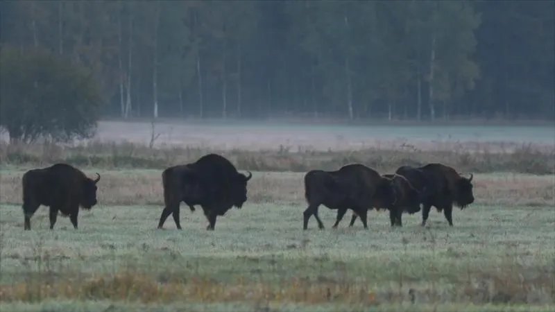 Rodzinne wyjazdy na Śląsku