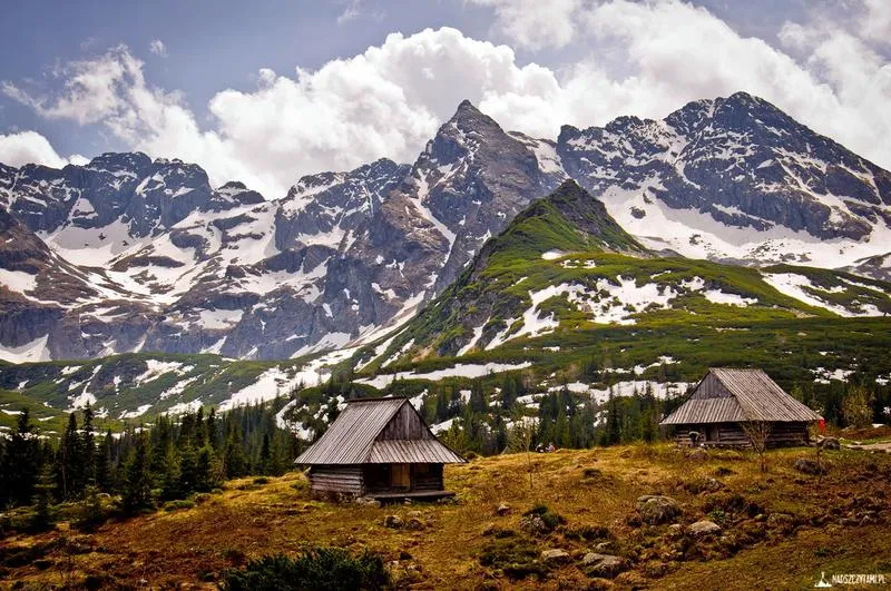 Wybór środka transportu w Tatry