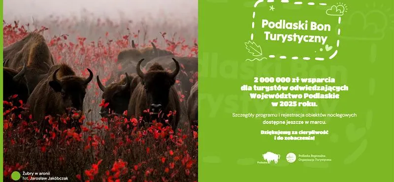 Wykorzystanie bonu turystycznego