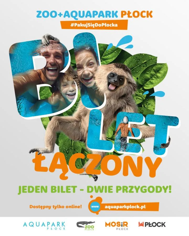 Zakup biletów kolejowych